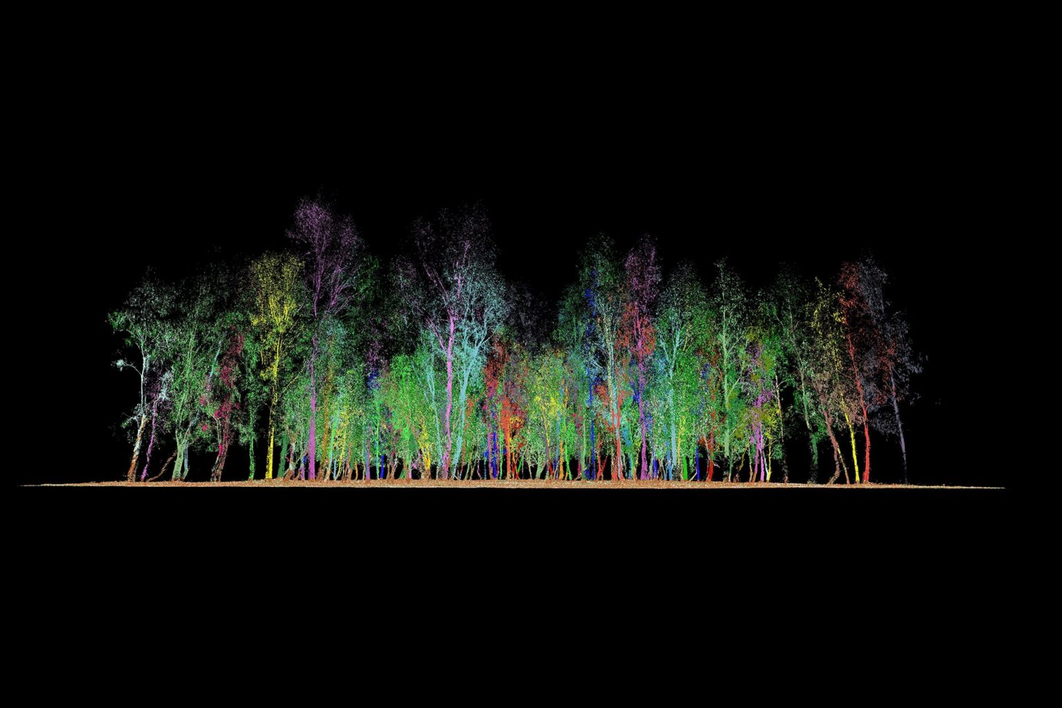 Catch twenty-two: What you should know about carbon offsetting
