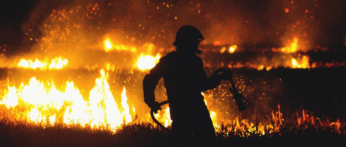 Global warming fuels extreme wildfires in a feedback loop