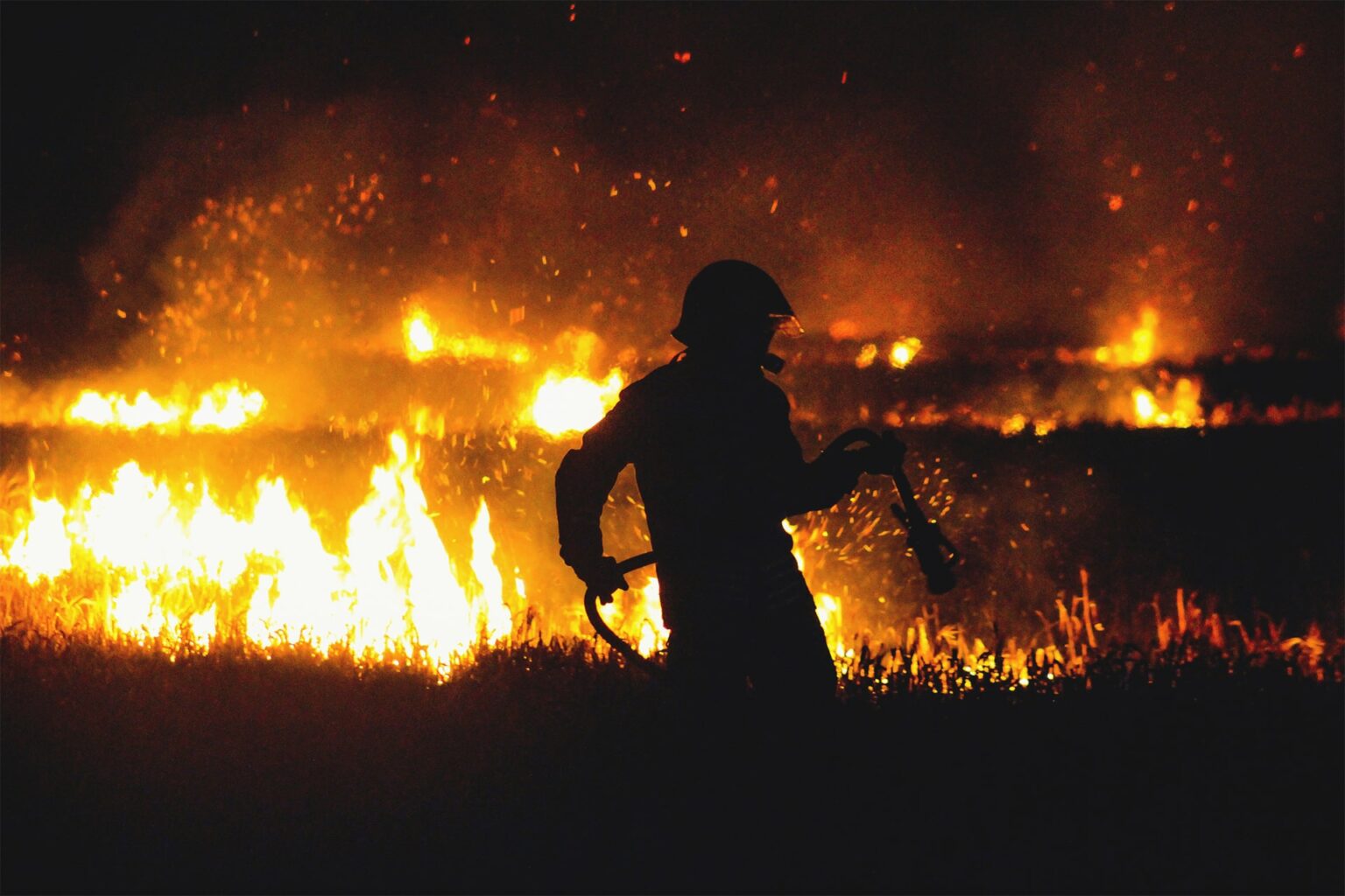 Global warming fuels extreme wildfires in a feedback loop