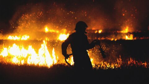 Global warming fuels extreme wildfires in a feedback loop