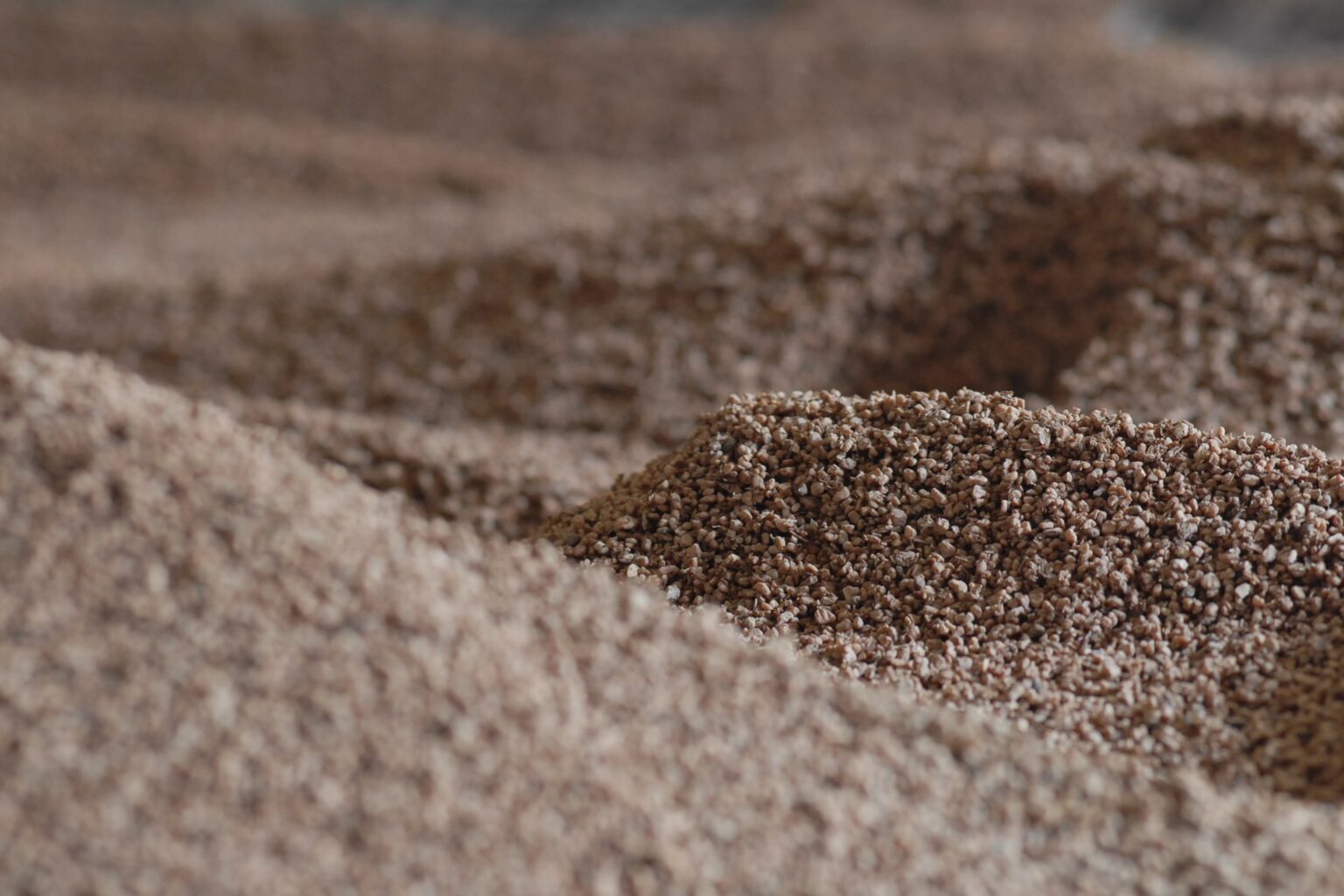 From waste to treasure: China turns to biomass for industrial decarbonization