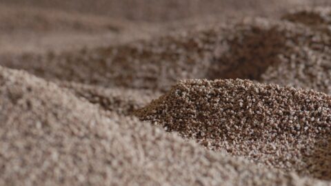 From waste to treasure: China turns to biomass for industrial decarbonization