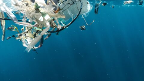 Global plastic treaty talks could hinge on China pledging to curb plastic production
