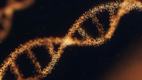 Innogen bets on longer-lasting GLP-1 drugs to stand out in crowded field