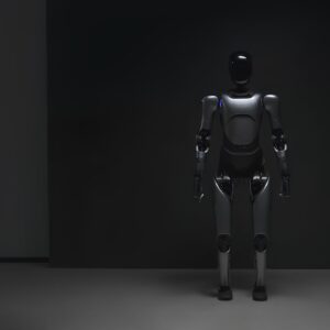 Agibot unveils five humanoid robots, commercialization on the horizon