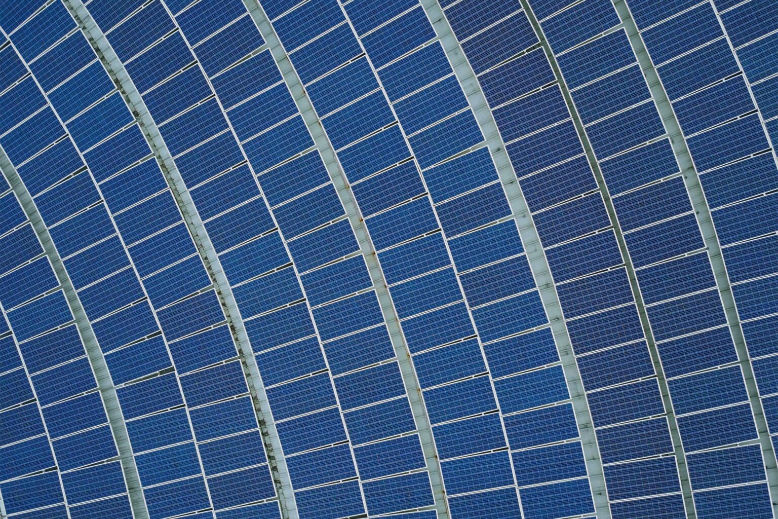 Tongwei’s bold move to acquire Runergy: The start of a solar industry shakeup?