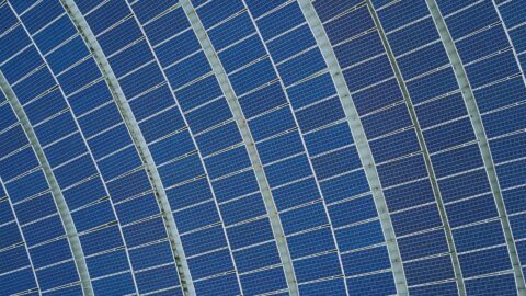 Tongwei’s bold move to acquire Runergy: The start of a solar industry shakeup?