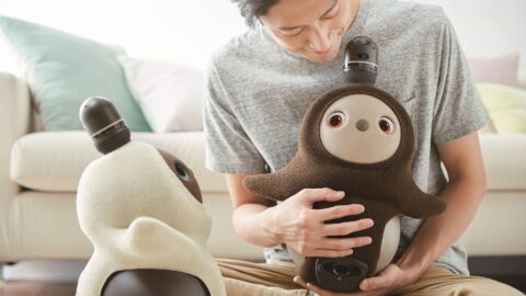 Is 2025 the year of the companion robot?