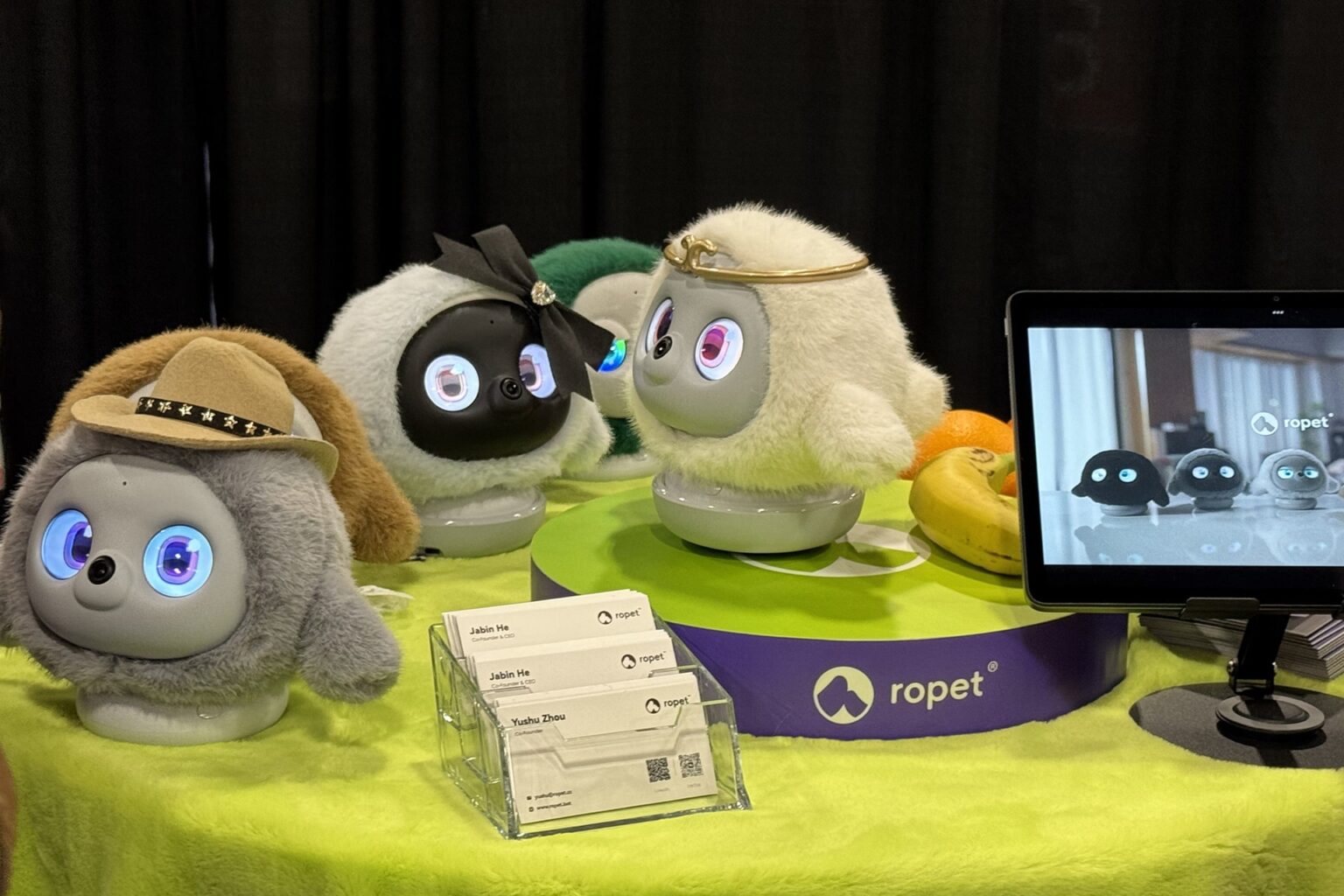 Meet Ropet: The AI-powered pet stealing the show at CES 2025