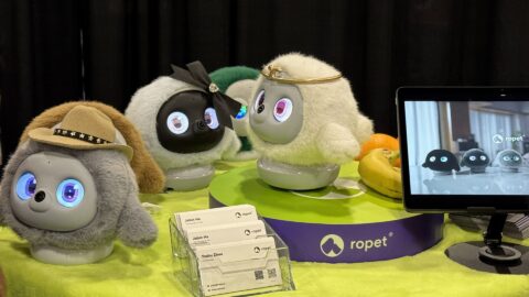 Meet Ropet: The AI-powered pet stealing the show at CES 2025