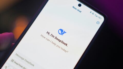 Is DeepSeek next in line for a TikTok-like US ban?