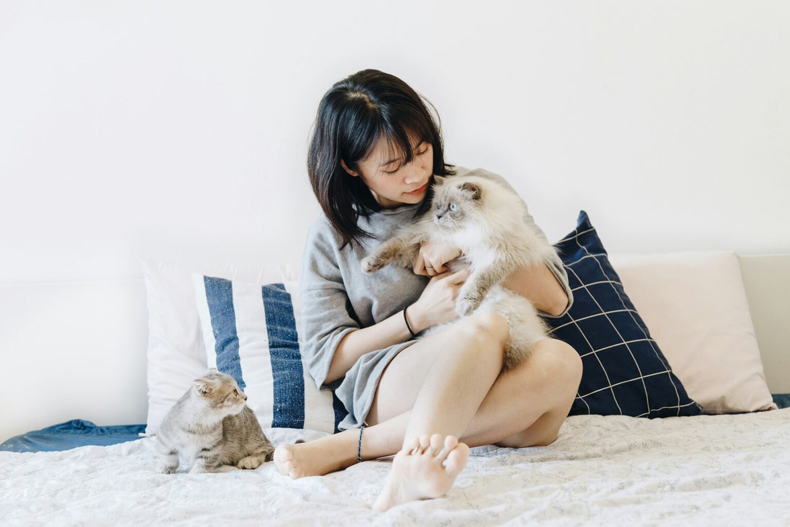 Asia’s pet boom lets food, health care, tech players off leash