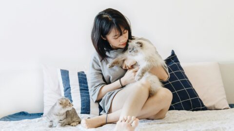 Asia’s pet boom lets food, health care, tech players off leash