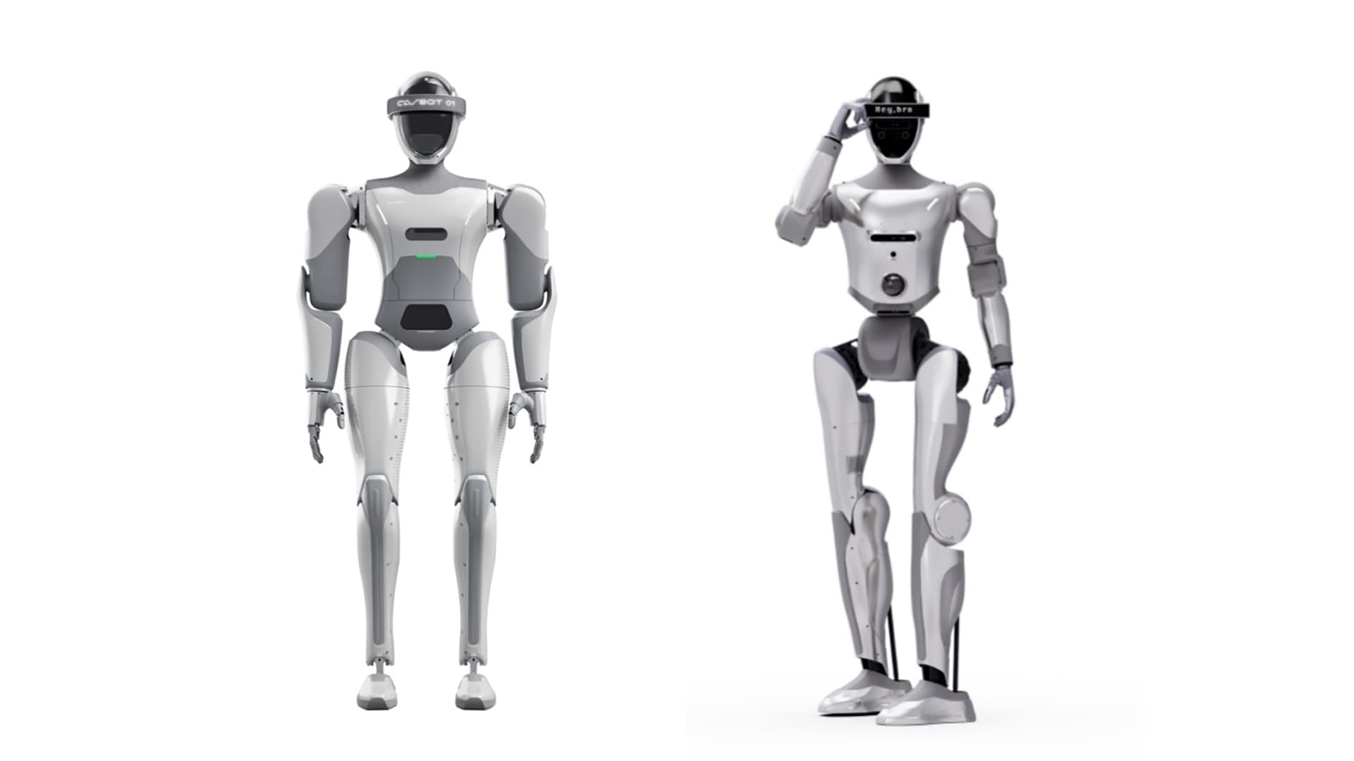 Image of the Casbot 01 (left) and Casbot 02 humanoid robots.
