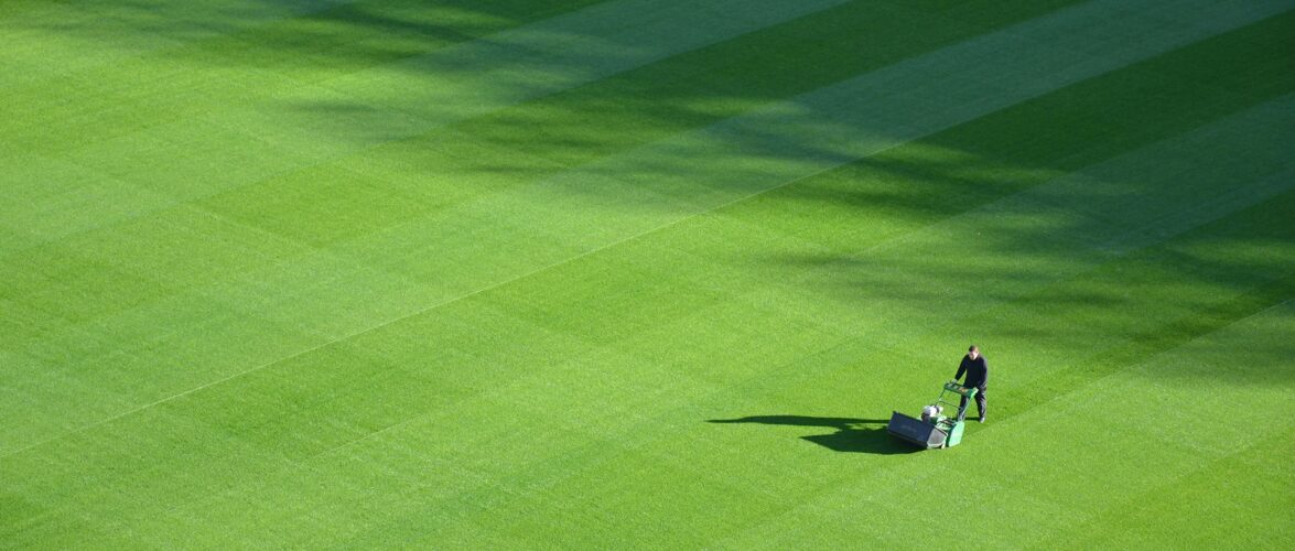 Boom, bust, and breakout: China’s lawn robot race hits a tipping point