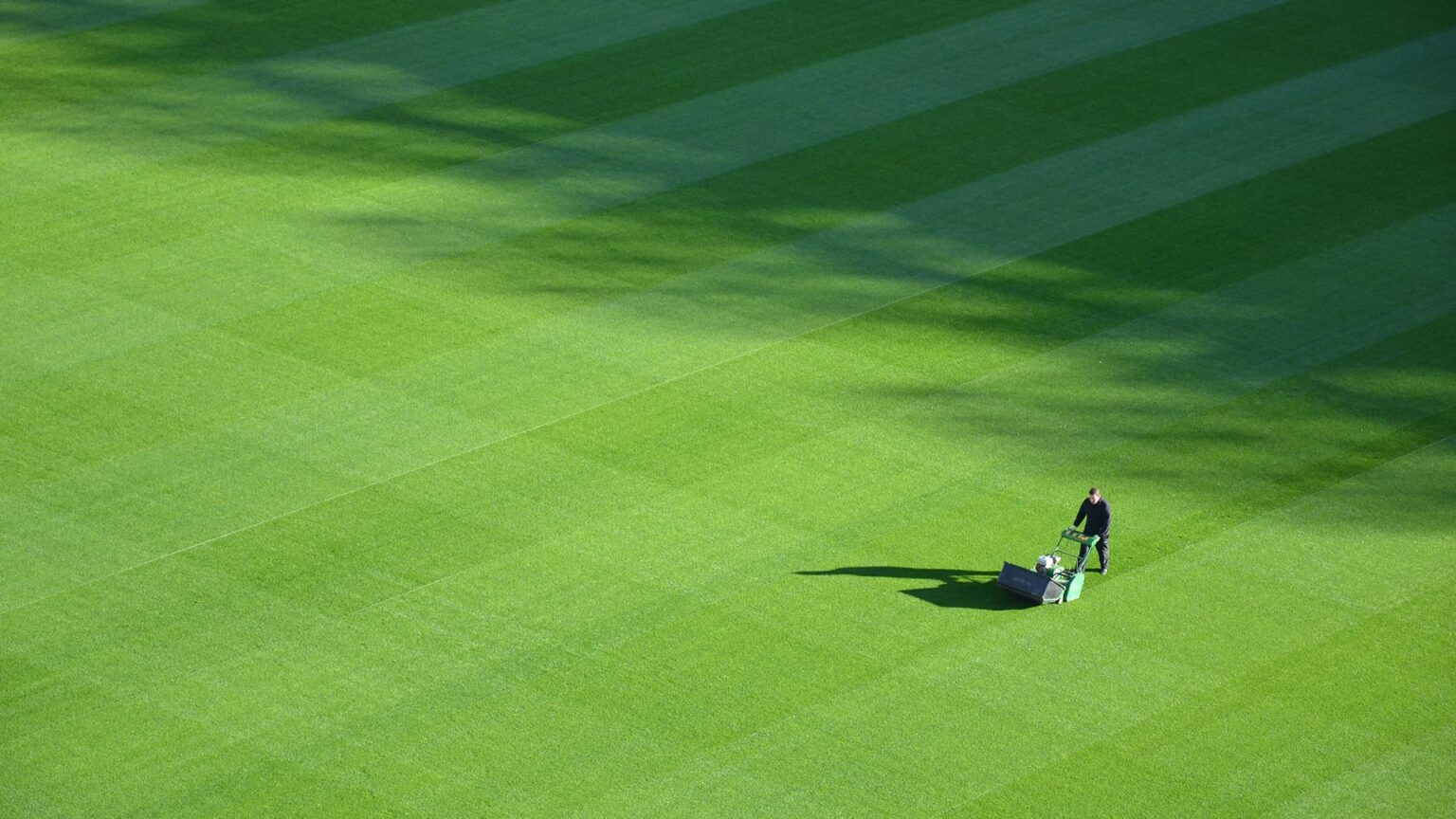 Boom, bust, and breakout: China’s lawn robot race hits a tipping point
