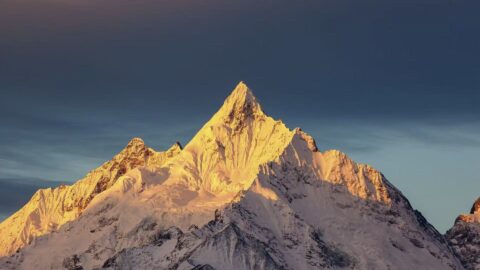 Everest Medicines targets global expansion with proprietary, AI-driven mRNA platform