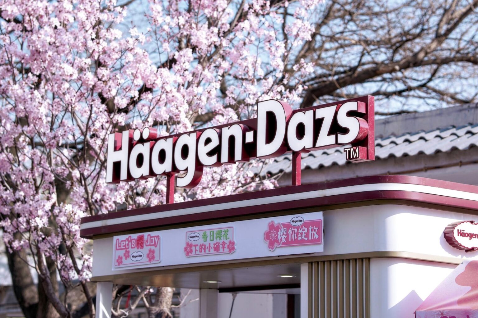 Once a luxury indulgence, Haagen-Dazs faces an identity crisis in China