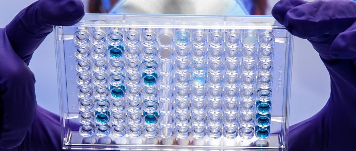 Hong Kong biotech enters its second act with a licensing supercycle