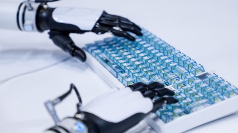 RockAI gains global traction with offline-capable AI models