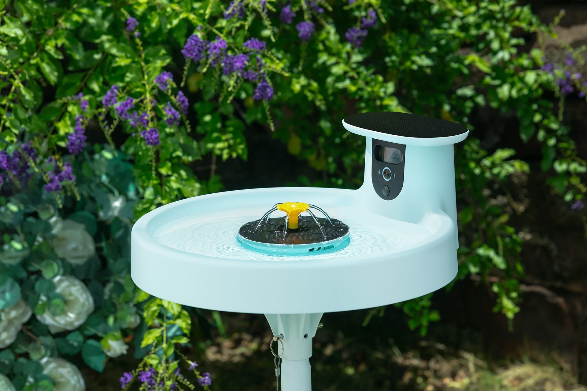 Photo of the Birdfy Bath Pro, a new device equipped with a wide-angle and auto-tracking camera, streams and records real-time footage of birds as they bathe.