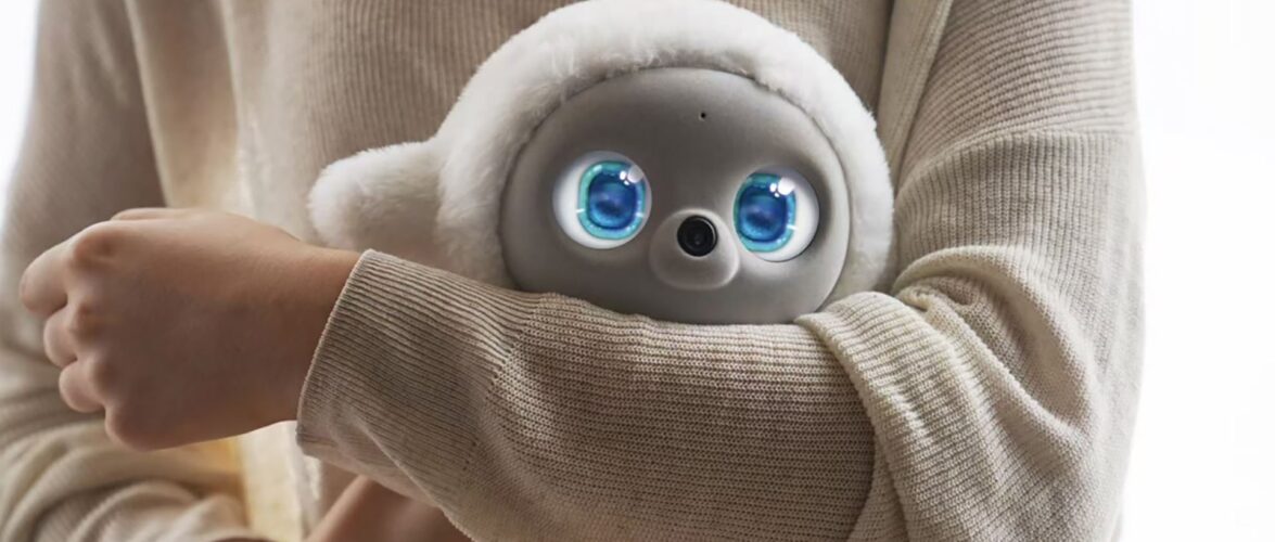 Ropet secures new funding to develop robots that feel more like friends