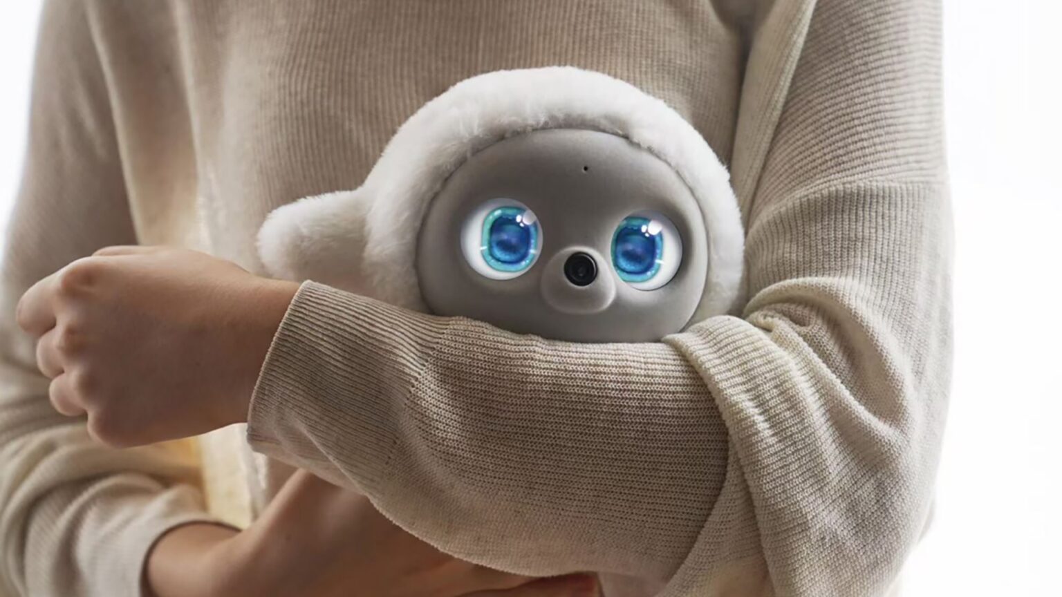 Ropet secures new funding to develop robots that feel more like friends