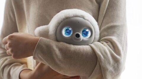 Ropet secures new funding to develop robots that feel more like friends
