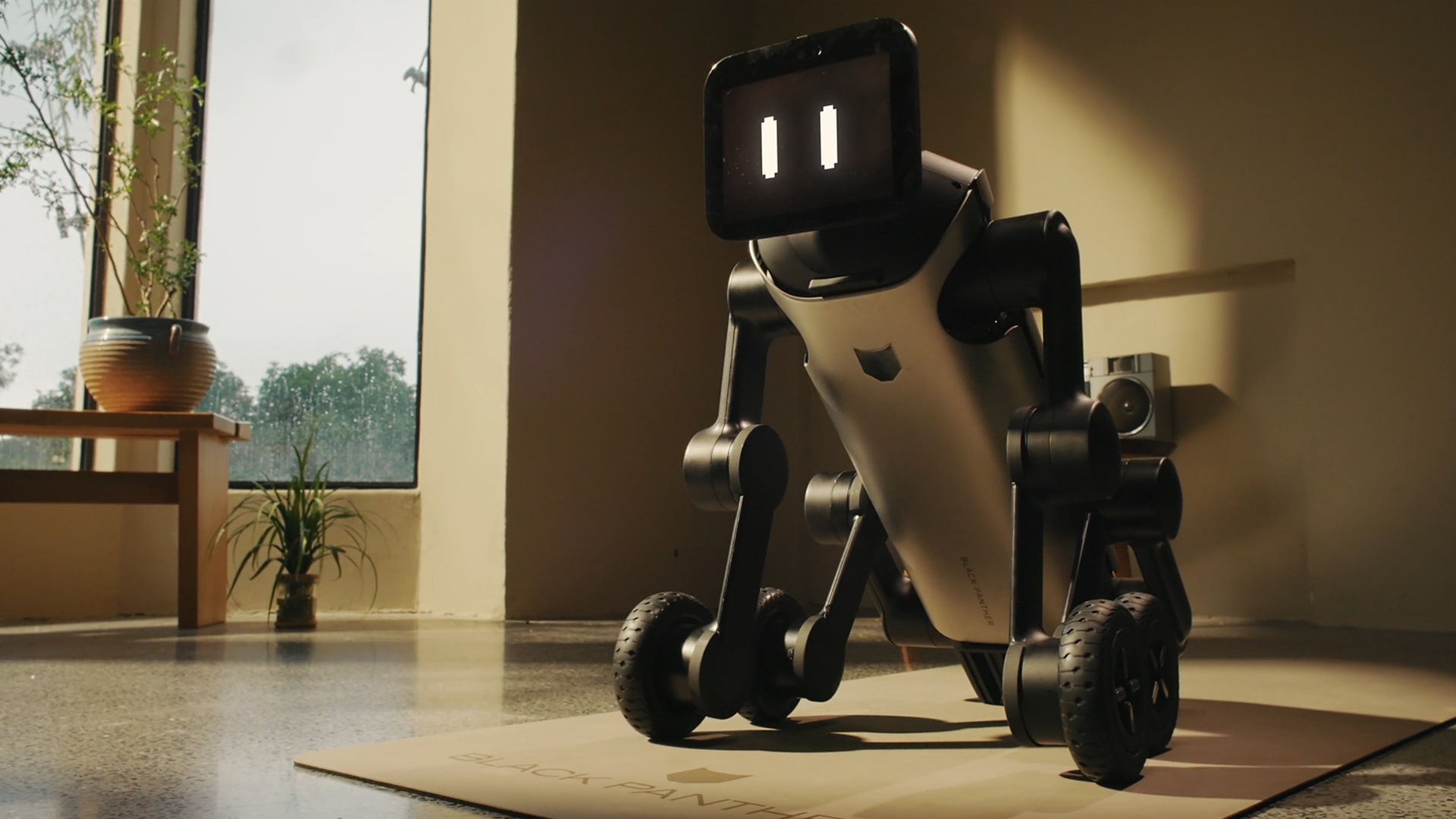 Image of Mirror Me’s Baobao robot.
