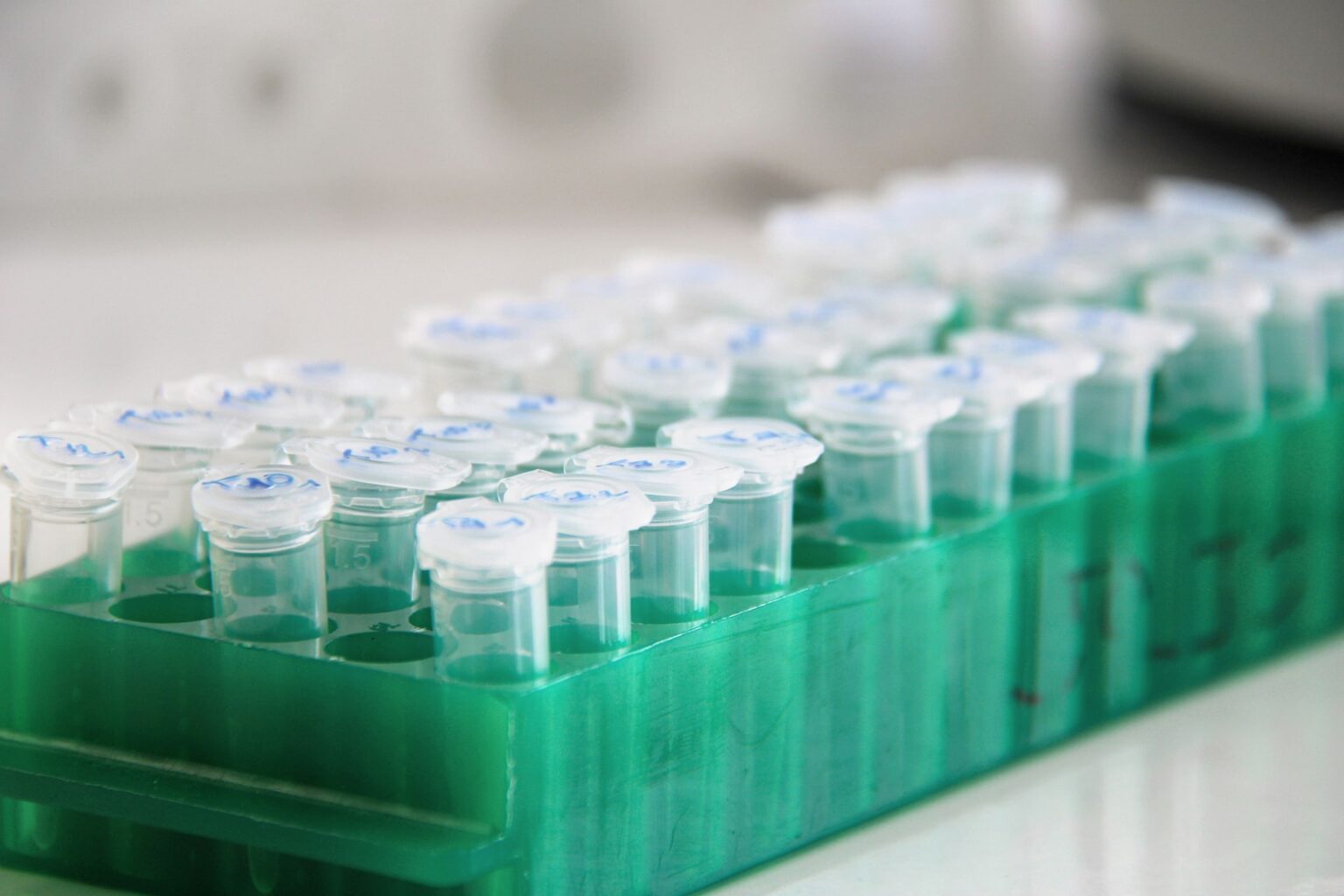 Henlius stands out in Hong Kong’s cooling biotech market with profits and pipeline progress