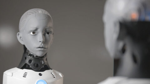 Image source: Anywit Robotics.