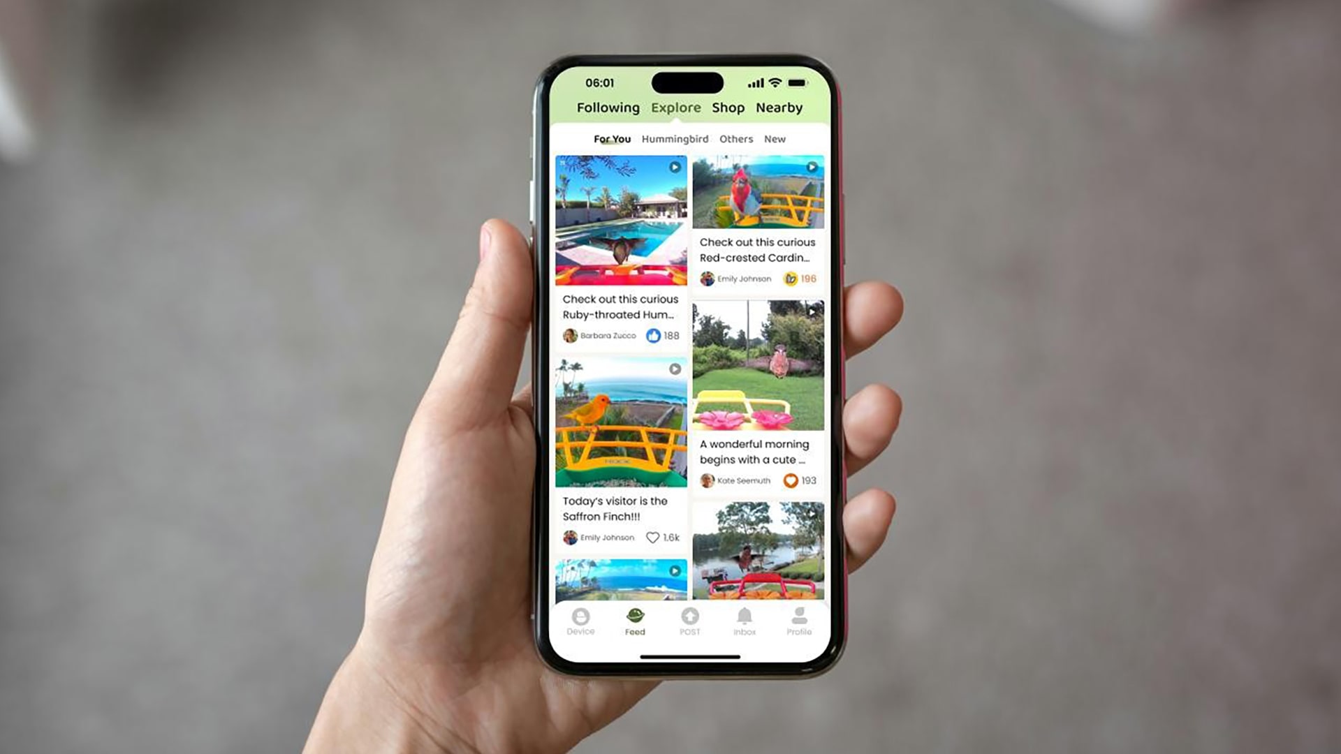 Image shows Coolfly’s mobile app interface.