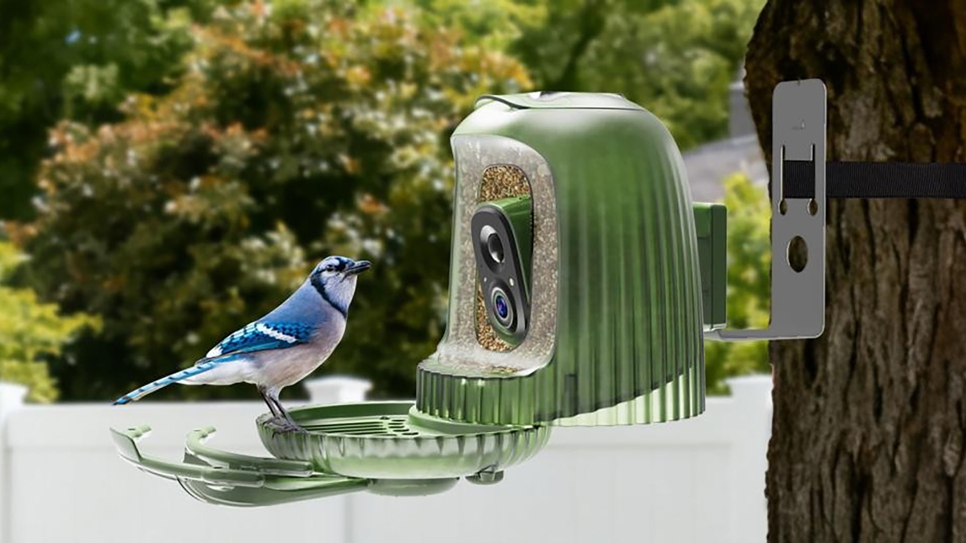 Coolfly’s “uneconomical” sprint for one user shows the kind of company it aims to be