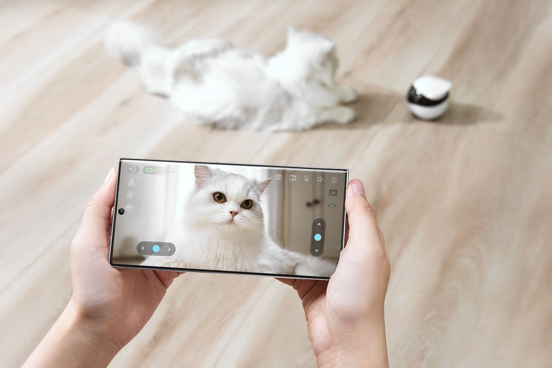 Image shows Enabot's mobile app, which can synchronizes with the company's robots, enabling users to trigger a range of pre-equipped functions such as laser pointing and teaser wands.