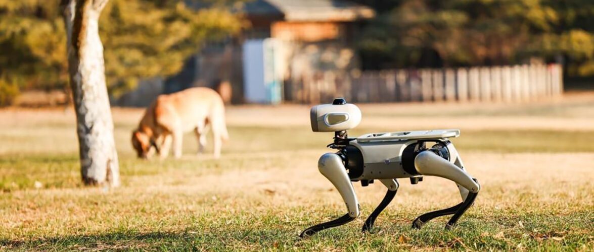 Vbot’s BoBo quadruped robot. Photo source: Vbot.