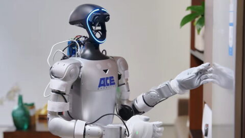 Photo source: ACE Robotics.