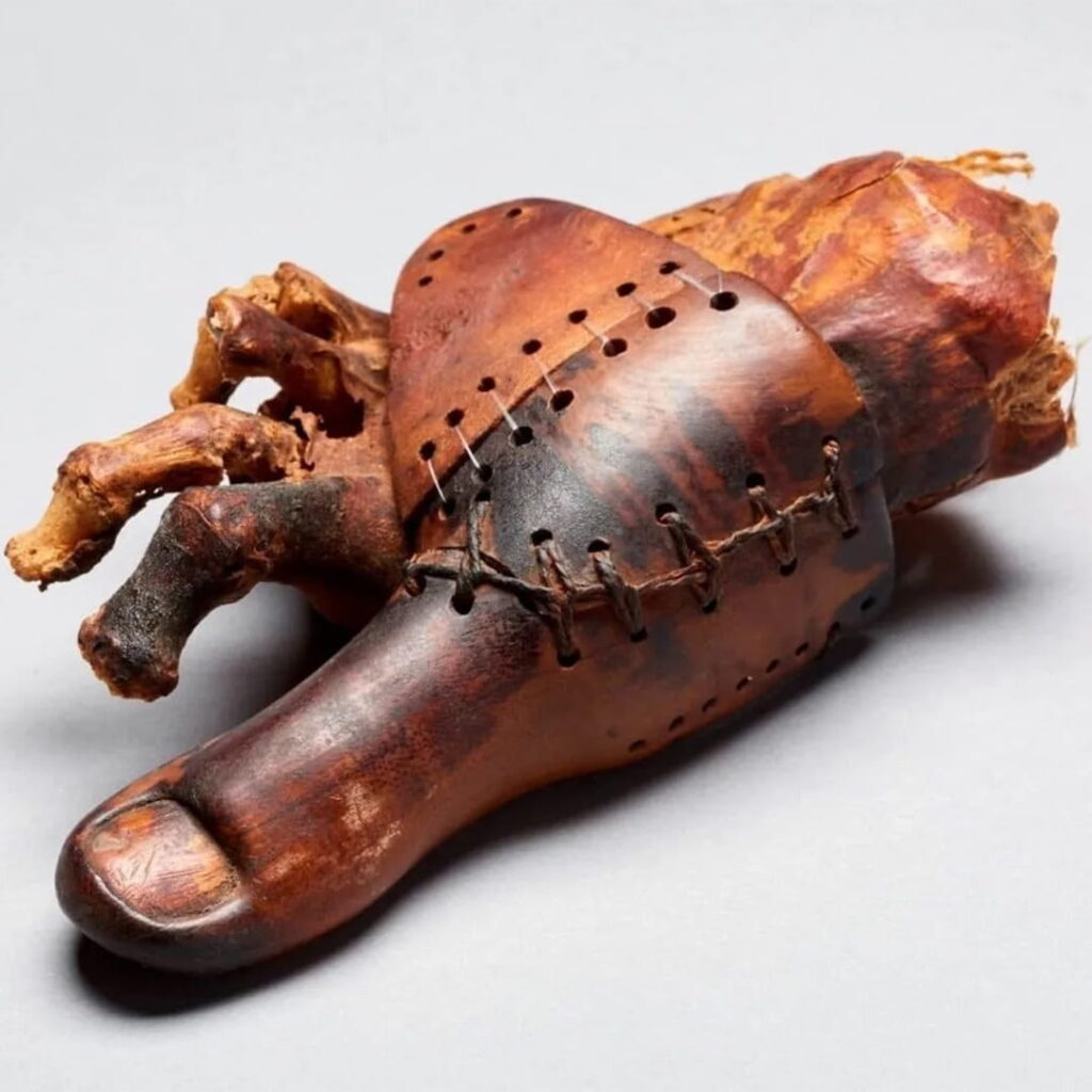 The “Cairo toe,” one of the oldest known functional prosthetic body parts in the world. Photo source: Egypt Museum.
