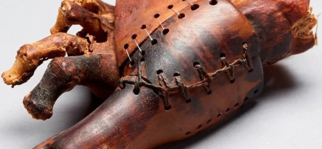 The “Cairo toe,” one of the oldest known functional prosthetic body parts in the world. Photo source: Egypt Museum.