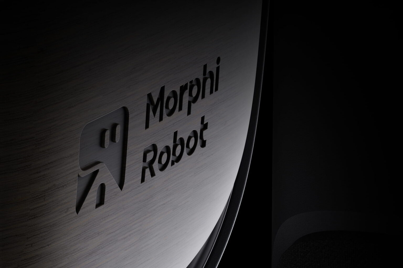 Image source: Morphi Robot.