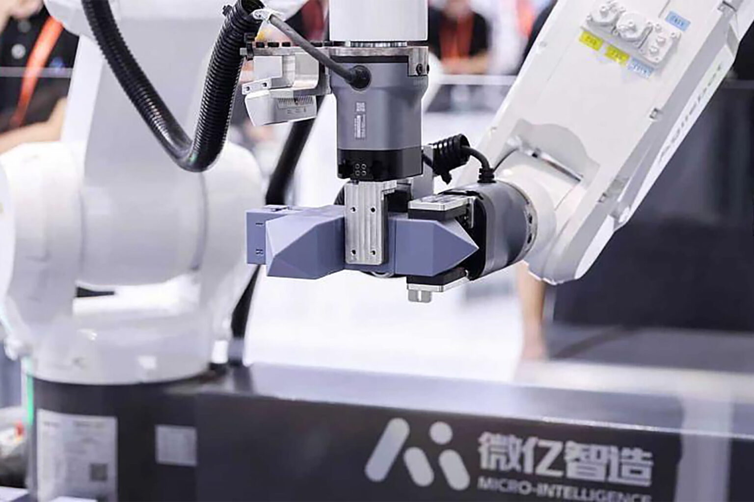 Photo source: IPO Zaozhidao.